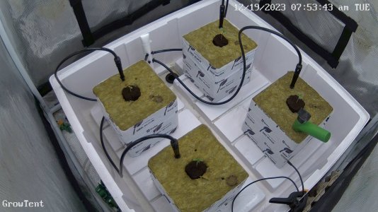 GrowTent_live_1703001226348.jpg