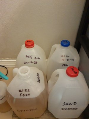 17039156722071274331584106170017.jpg
