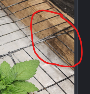 mold.png