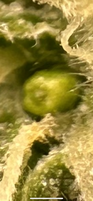 0D544CCF-5FAC-4770-816C-D06A15FE89A7.png