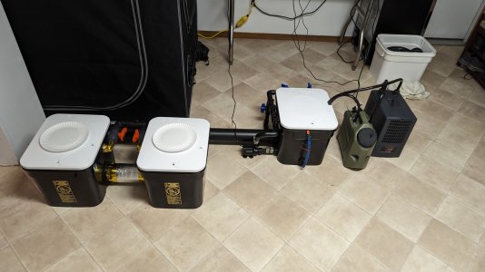 PXL_20231008_204338065.jpg