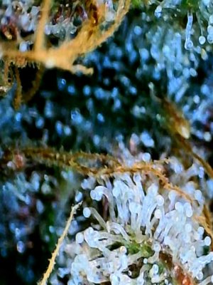 2024-01-01-15-13-55-593.jpeg