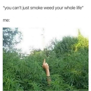1704664386360.png