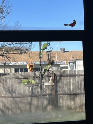 IMG_0920.jpeg