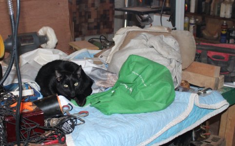 Qnight on work table.JPG