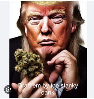 38812D84-9355-4F4F-96DD-9B85F5F7751C.jpeg