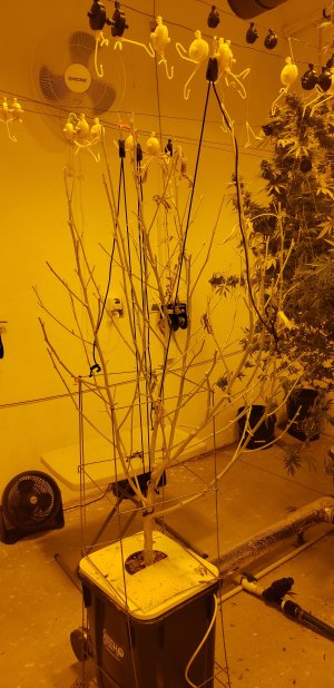 20240120_104557.jpg