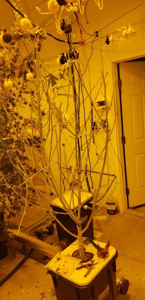 20240120_104613.jpg