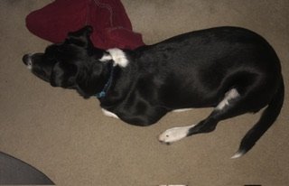 IMG_6800.jpeg