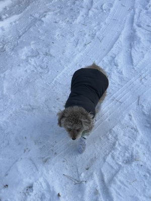 IMG_0647.jpeg