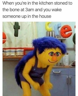 luggage-bags-kitchen-stoned-bone-at-3am-and-wake-someone-up-house-comfortablyhigh.jpeg