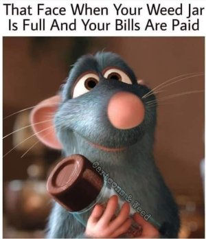 animal-face-weed-jar-is-full-and-bills-are-paid-cartoons-weed.jpeg