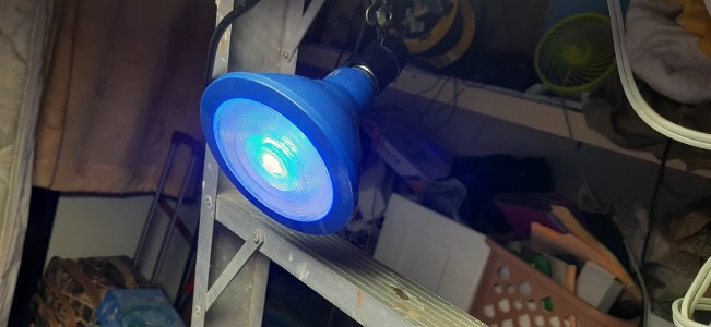 20240126_204241.jpg