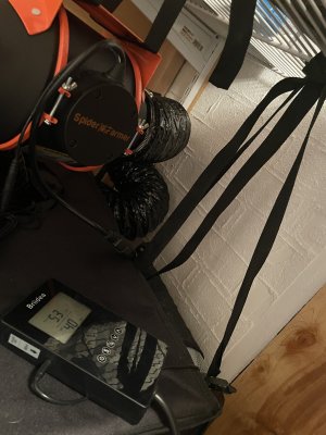 IMG_0111.jpeg