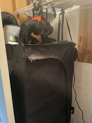 IMG_0109.jpeg