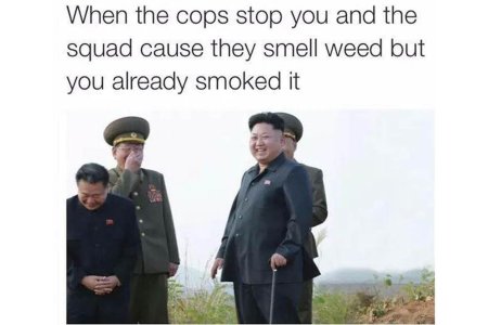 The-100-Best-Weed-Memes-For-True-Herb-Enthusiasts48.jpg