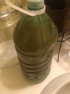 IMG_7037.jpeg
