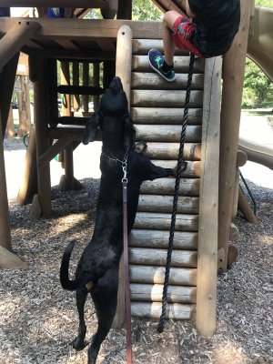 68F038BC-2B36-436B-9E70-3E535E9FA102.jpeg