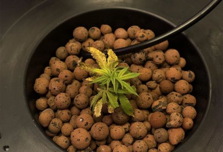 hydro1.jpg