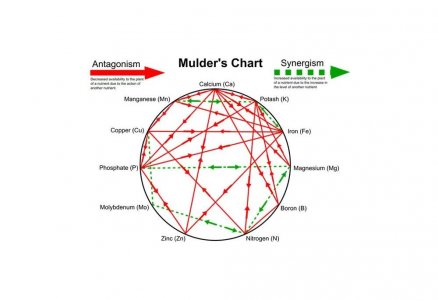 chart3.webp.jpg