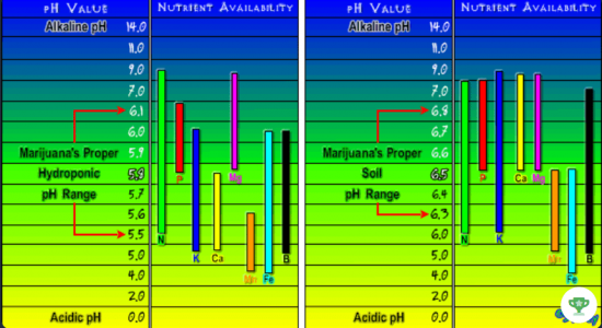 ph nutrient.PNG