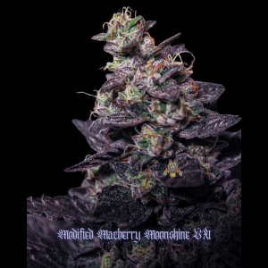 mod mac moonshine bx #4 (1).png
