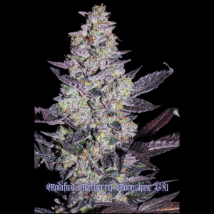 mod mac moonshine bx #4 (2).png
