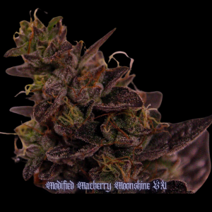 mod mac moonshine bx #4 (3).png