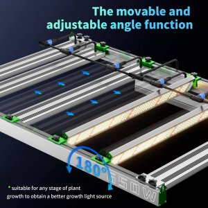 TF650 adjustability.jpg TF650 adjustability.jpg