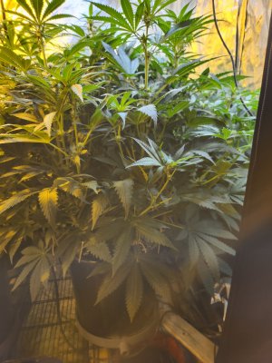 20240221_223437.jpg 20240221_223437.jpg