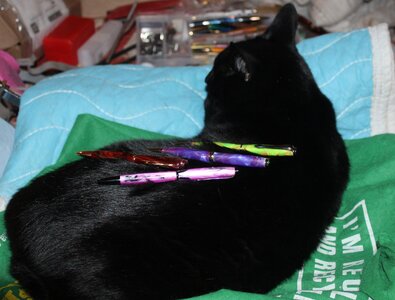 Qnight pens.JPG Qnight pens.JPG