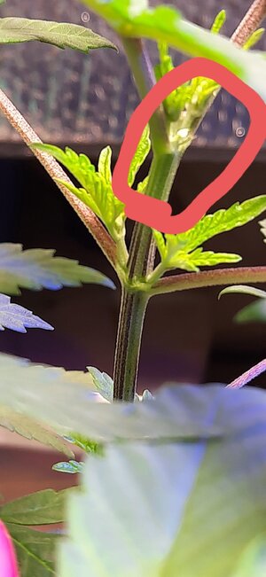 20240229_213257.jpg 20240229_213257.jpg