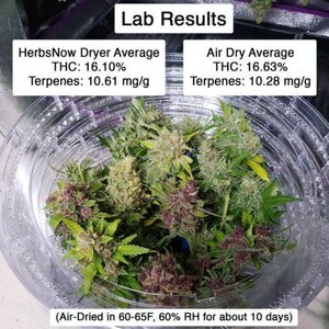 herbsnow-dryer-lab-results-second-time-with-16-plants-450x450.jpg