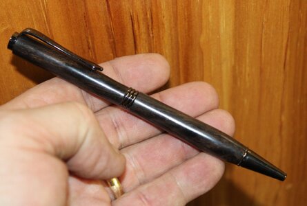 bog wood pen.JPG