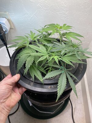 IMG_4321.jpeg