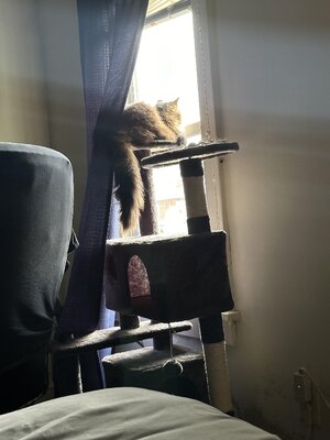 IMG_2056.jpeg