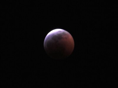 IMG_0773.jpeg