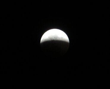 IMG_0770.jpeg
