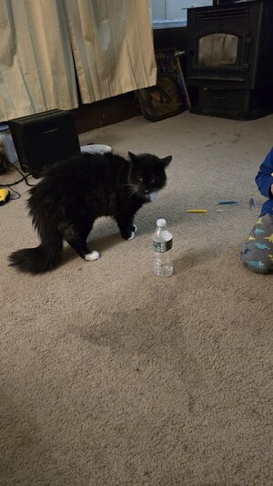 20240328_213211.jpg