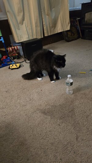20240328_213223.jpg