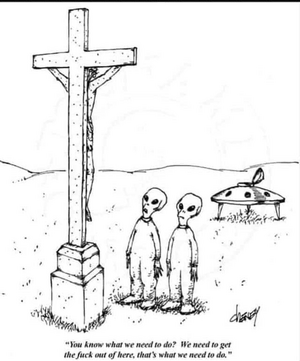 1711858162637.png