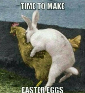 easter-memes-make-easter-eggs.jpg