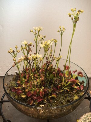 IMG_5087(2).JPEG