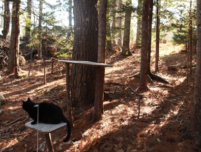 Qnight back park.JPG