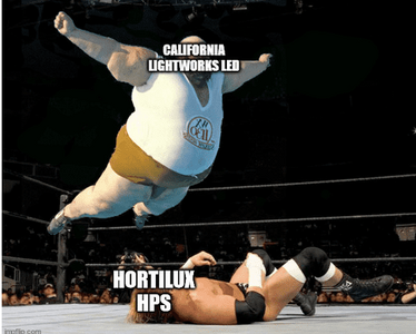 led vs hps.png