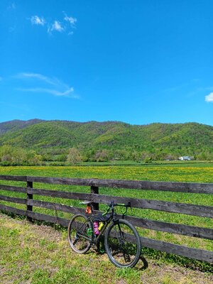 Rapidan_RidenFish_41824.jpg
