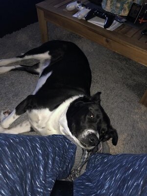 IMG_8006.jpeg