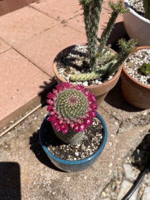 IMG_6994.jpeg