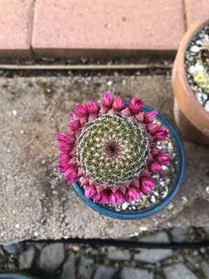 IMG_5755.jpeg