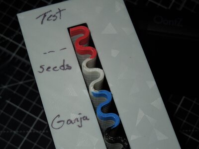 003.JPG
